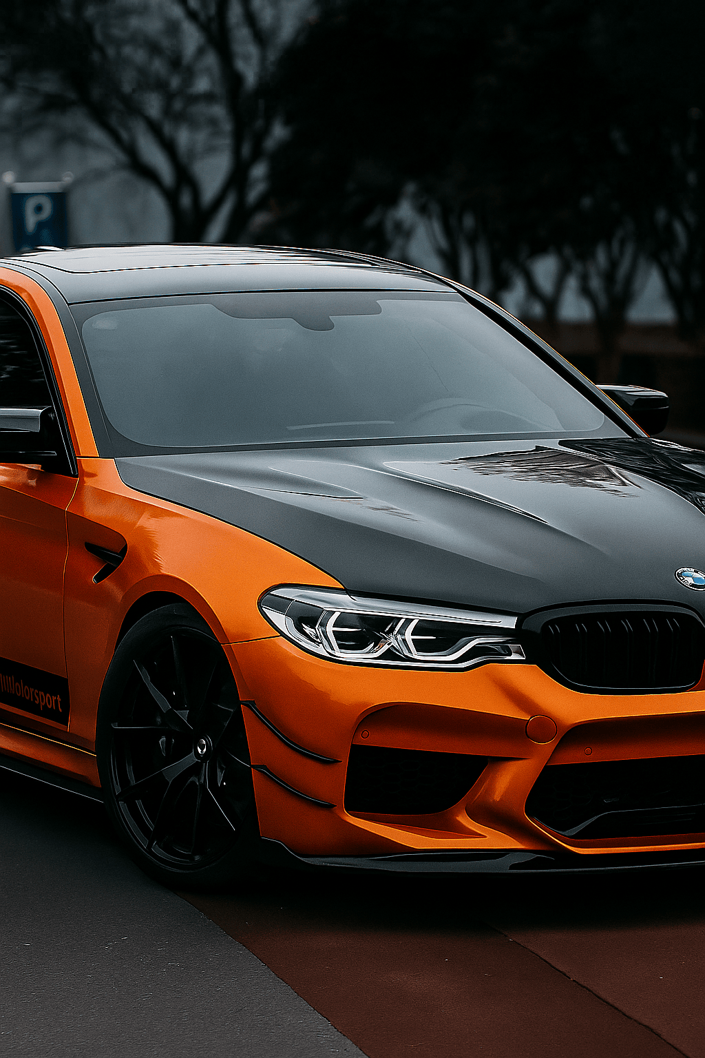 Carbon Canards TK Style - BMW F90 M5 preLCI